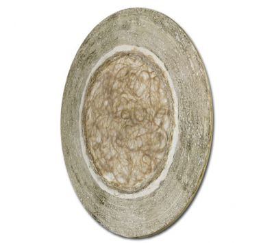 Picture H2 Cero Marpau