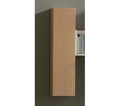 Módulo suspenso Ringo I