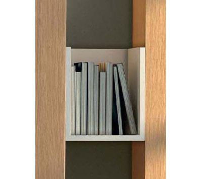 Módulo suspenso Ringo II