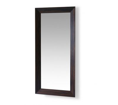 Mirror Ecnirp