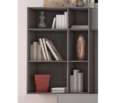 Módulo suspenso Ziby II