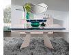 Extendable table w / 1 extension 50 cm
