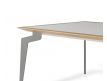 DINING TABLE ORTER