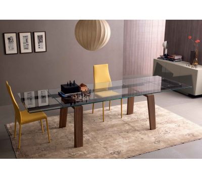 EXTENSIBLE TABLE FRAU