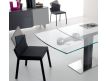 EXTENSIBLE TABLE YTREBIL