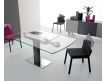 EXTENSIBLE TABLE YTREBIL