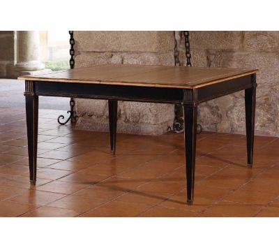 EXTENSIBLE TABLE 006