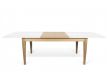 EXTENSIBLE TABLE EHCIN