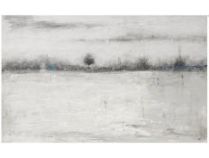 PICTURE ARRES AIRBANAS