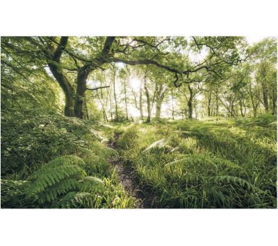 FOTOMURAL HTAP CITSYM