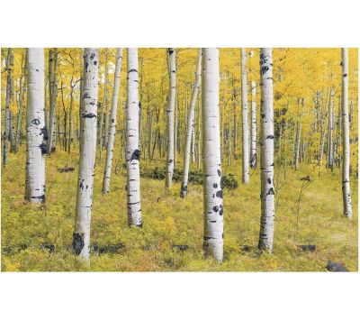 FOTOMURAL TSEROF EGNARO