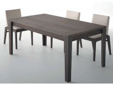 EXTENSIBLE TABLE ECNAGELE