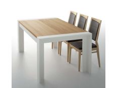 EXTENSIBLE TABLE DIRDAM