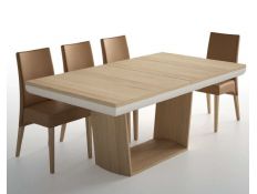 EXTENSIBLE TABLE NOOM FLAH