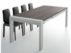 EXTENSIBLE TABLE ARTNIS