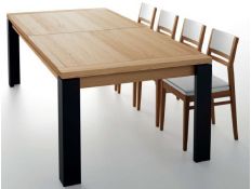 EXTENSIBLE TABLE ETROF