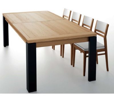 EXTENSIBLE TABLE ETROF