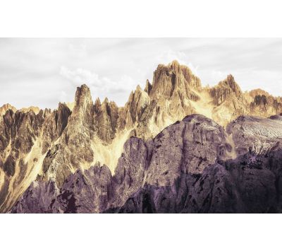 PHOTOMURAL 6008B-VD4/1