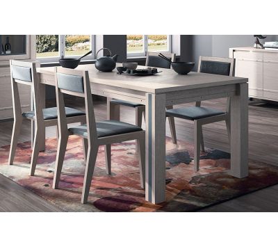 EXTENSIBLE TABLE OPMAK 