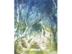 PHOTOMURAL 6024A-VD2