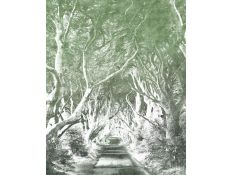 PHOTOMURAL 6024B-VD2