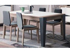 EXTENSIBLE TABLE ECNALAB