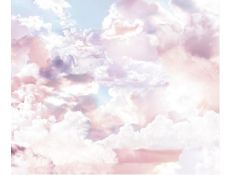 PHOTOMURAL 6027A-VD3/1