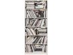 Photomural Bookcase
