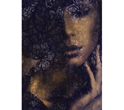 Photomural Lace