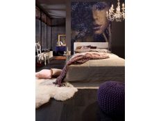 Ambient Photomural Lace