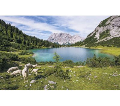 PHOTOMURAL SH070-VD4