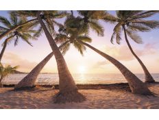 PHOTOMURAL SH074-VD4