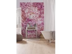 Ambient Photomural Soave