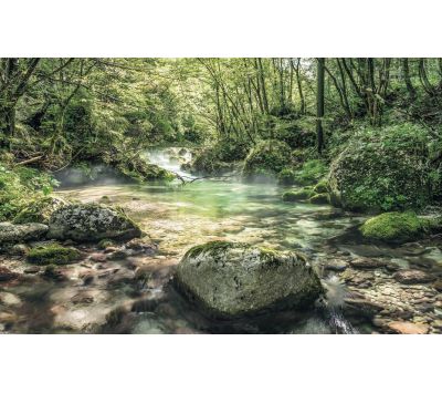 PHOTOMURAL SH079-VD4