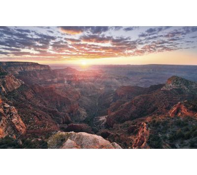 PHOTOMURAL SH078-VD4