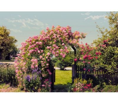 Photomural Rose Garden