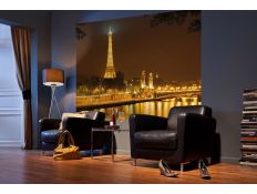 Ambient Photomural Nuit d´Or