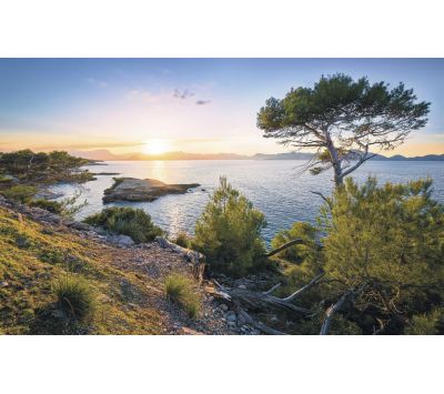 PHOTOMURAL SH063-VD4