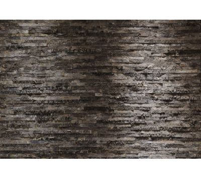 Photomural Birkenrinde