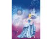 Fotomural Cinderella´s Night