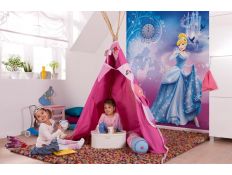 Ambient Photomural Cinderella´s Night