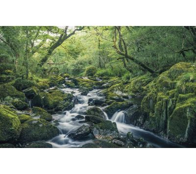 PHOTOMURAL SH056-VD4