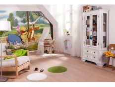 Ambient Photomural Winnie Expedition