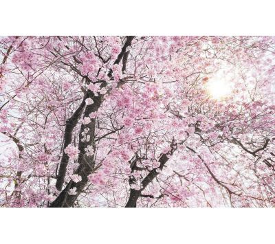 PHOTOMURAL SH083-VD4