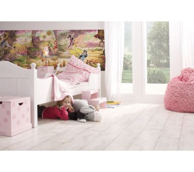 Ambient Photomural Fairies