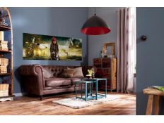 Ambient Photomural Pirates Pistols