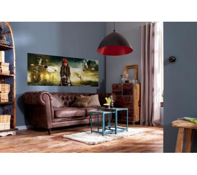 Ambient Photomural Pirates Pistols