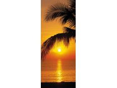 Fotomural Palmy Beach Sunrise I