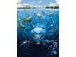 Photomural Nemo
