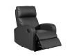 ARMCHAIR W/ RELAX LOTSIRB